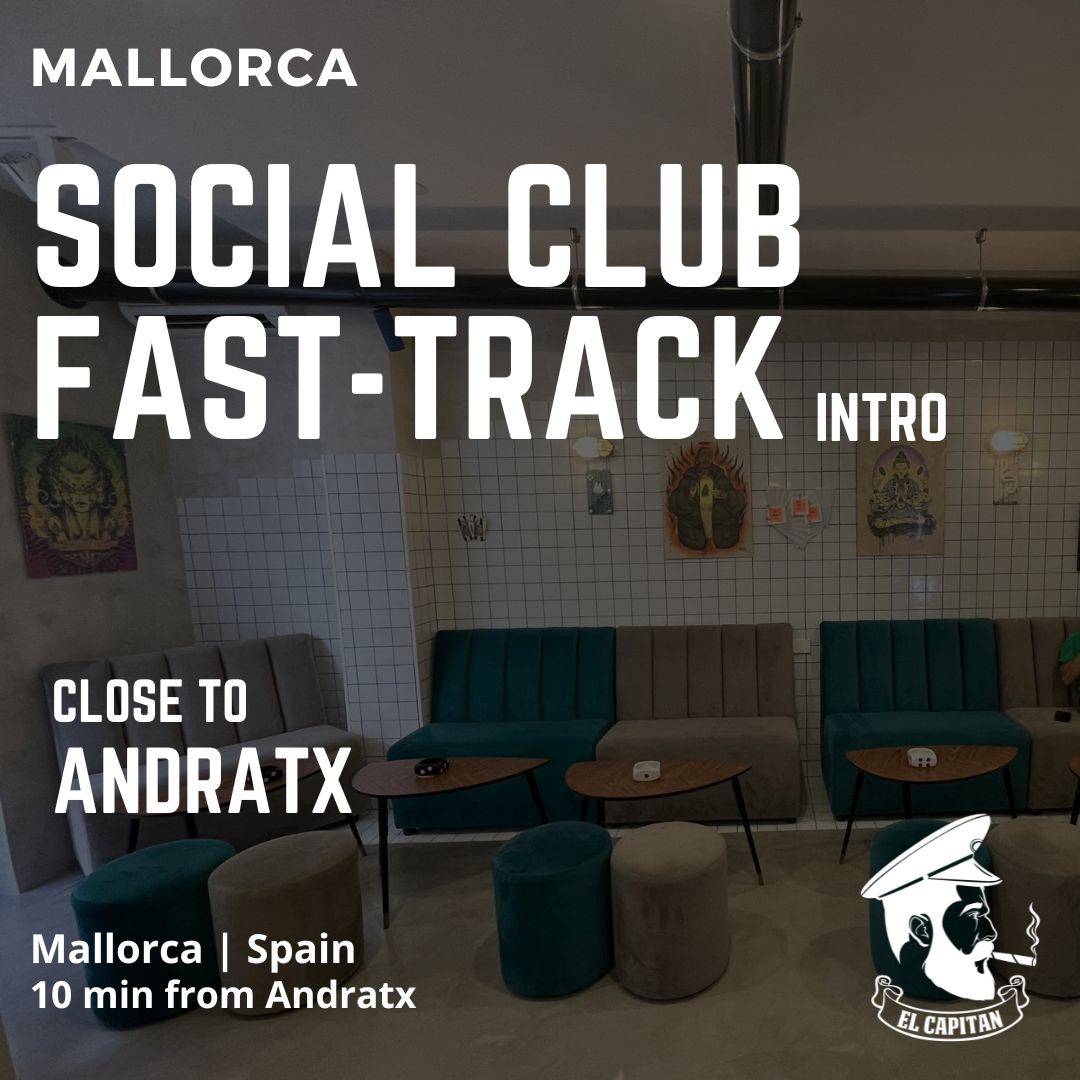 Social Club Fast-Track Contact | Mallorca - Andratx