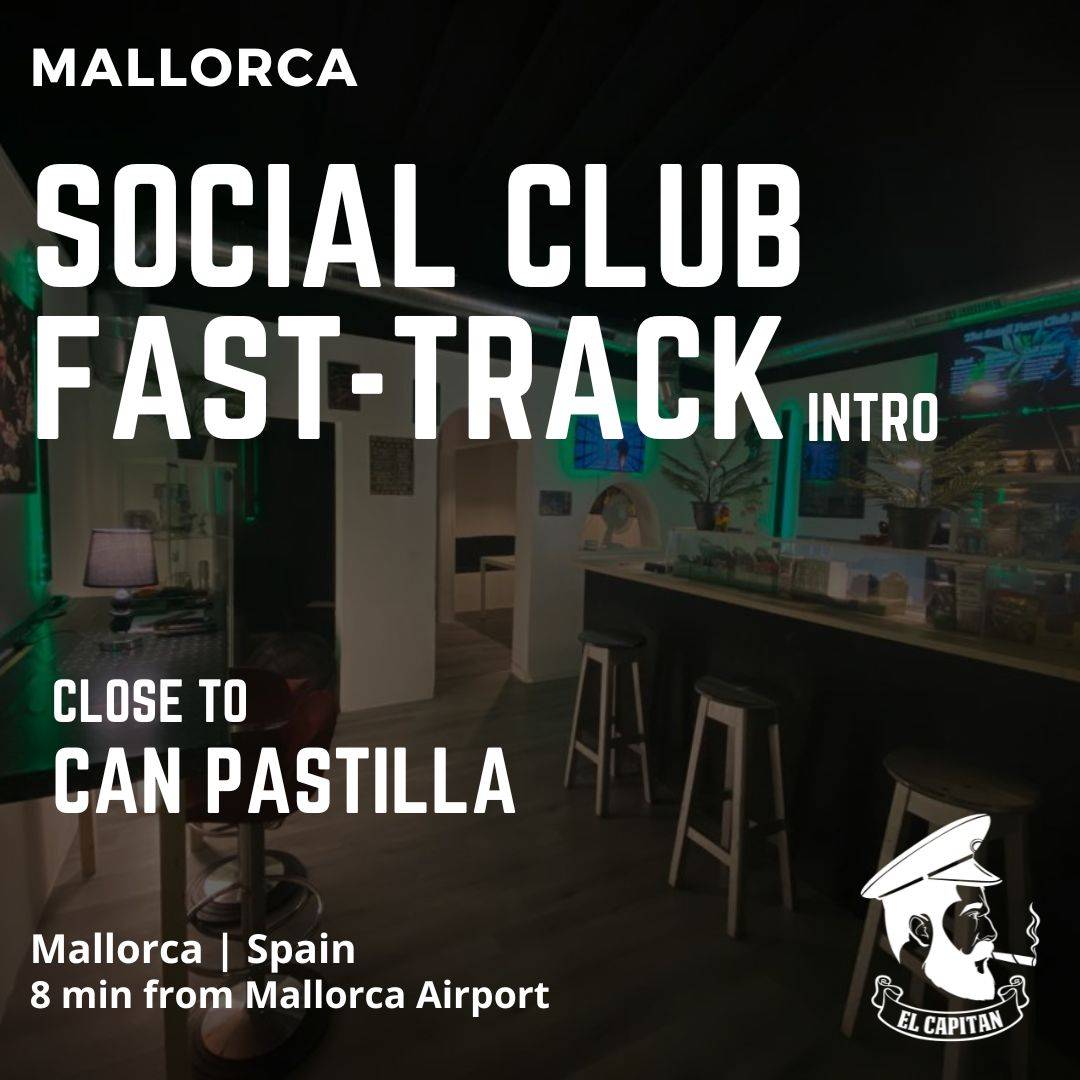 Social Club Fast-Track Contact | Mallorca - Can Pastilla