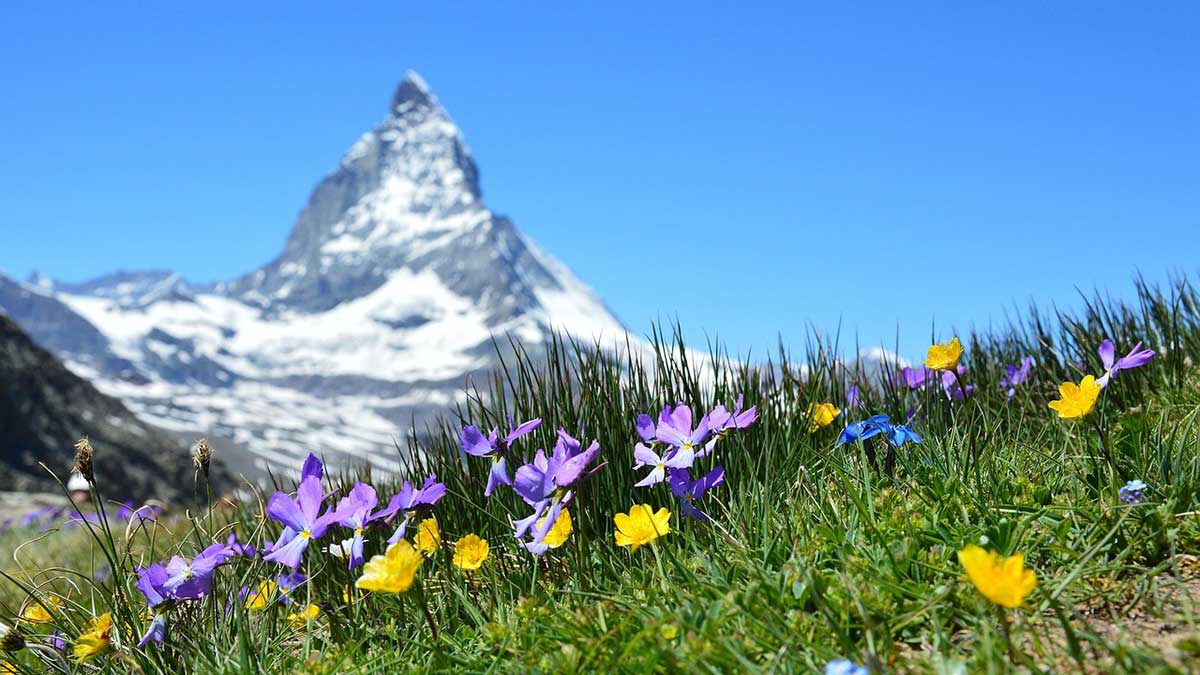 Cannabis Urlaub Berge: Entspannt ohne Auto reisen