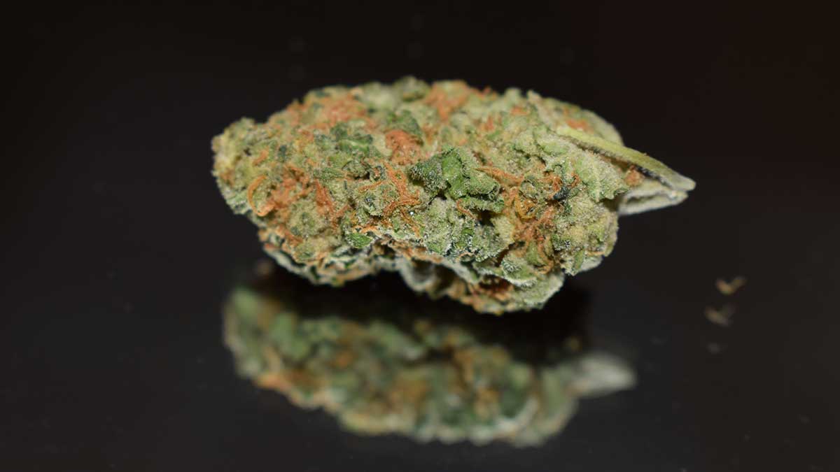 420 feiern ohne Demos: Tipps für einen entspannten Tag