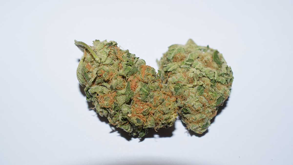 Mit welcher Sorte von Cannabis kann ich auf Wolke 7 schweben?