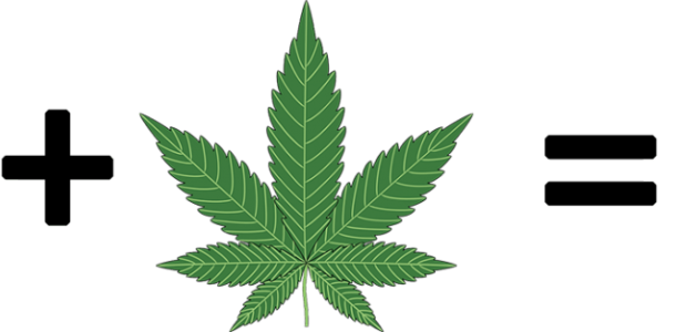 Cannabis Urlaub in Prag