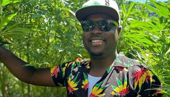 Plantage