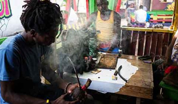 Cannabis Trip nach Jamaika "Starlight Chalet"