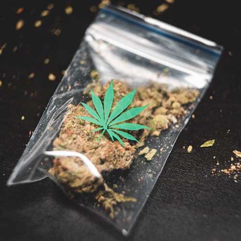 weed