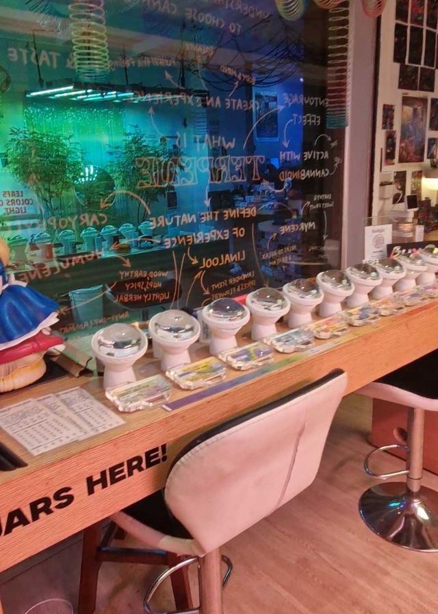 weed city bangkok