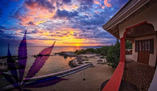 Coral Cove Wellness Resort