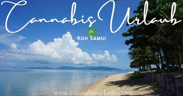 Cannabis Urlaub auf der Insel Koh Samui