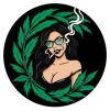 doktor abc medizinisches cannabis