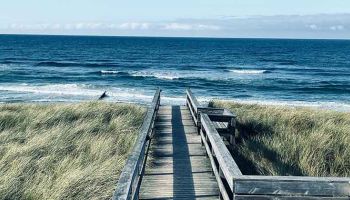 Sylt