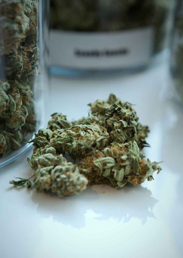 drogentest thc