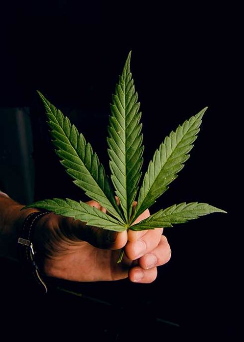 weed urlaub ferien