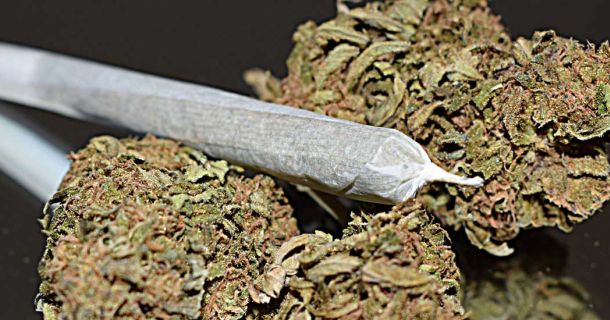 Cannabis Urlaub in Kroatien - Marihuana in Zagreb