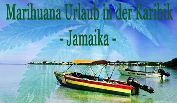 Irgendwo im Westen Jamaika High werden