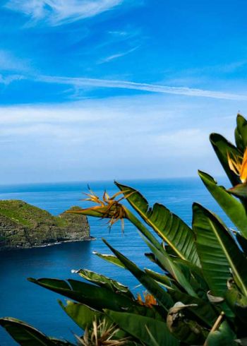 Funchal Urlaub