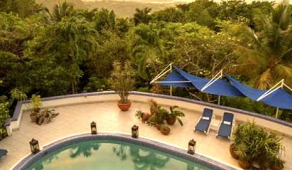 Ein toller Cannabis Urlaub im Hotel Mocking Bird Hill / Jamaika