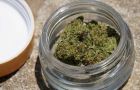 Ganja - Jamaika