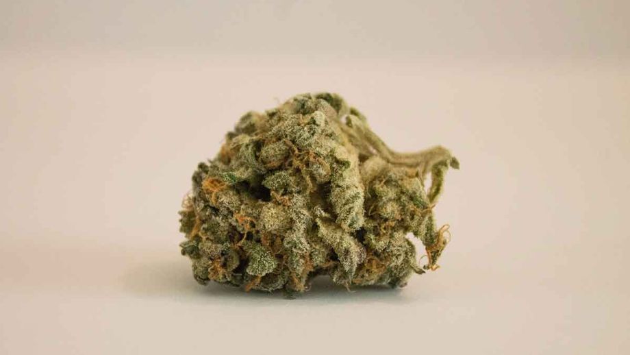 jamaica-weed