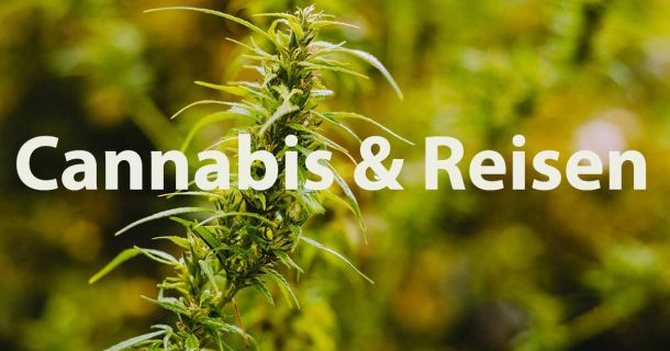 Infos zum Reisen mit Cannabis.