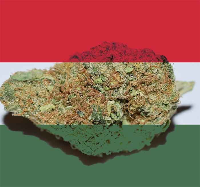 Cannabis in Ungarn