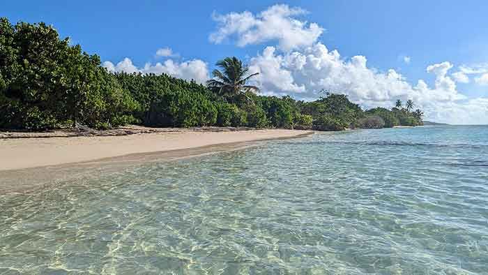 Guadeloupe: Karibikparadies für Cannabisfans