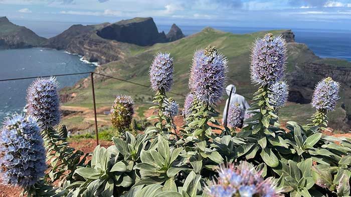 Madeira 2025: Wandergebühren für Naturschutz